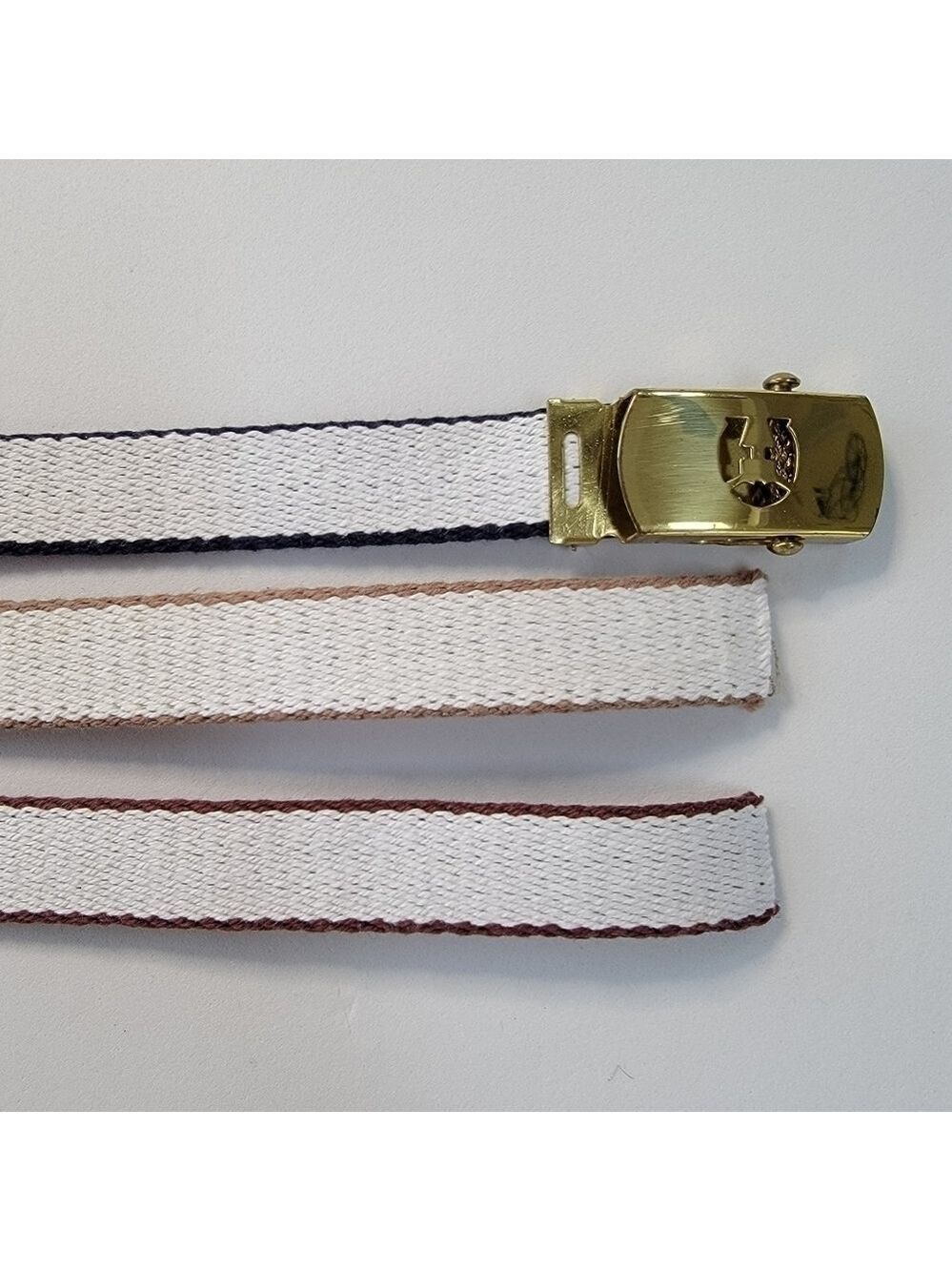 Interchangeable Web Belt Set